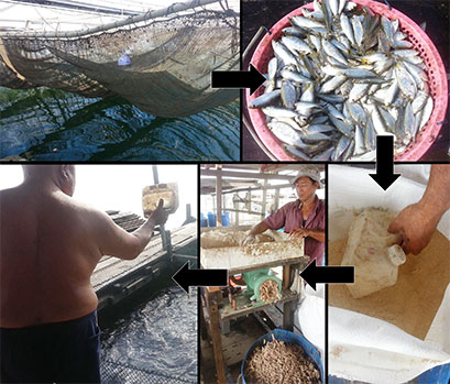 fresh seafood delivery