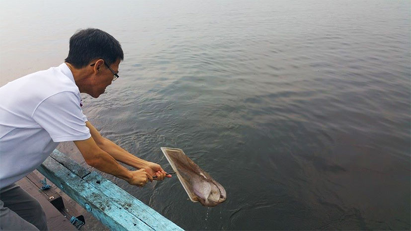 man releasing fish into the sea