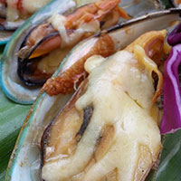 Cheesy mussels recipe