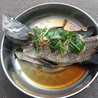 Hong Kong Style Steamed Seabass